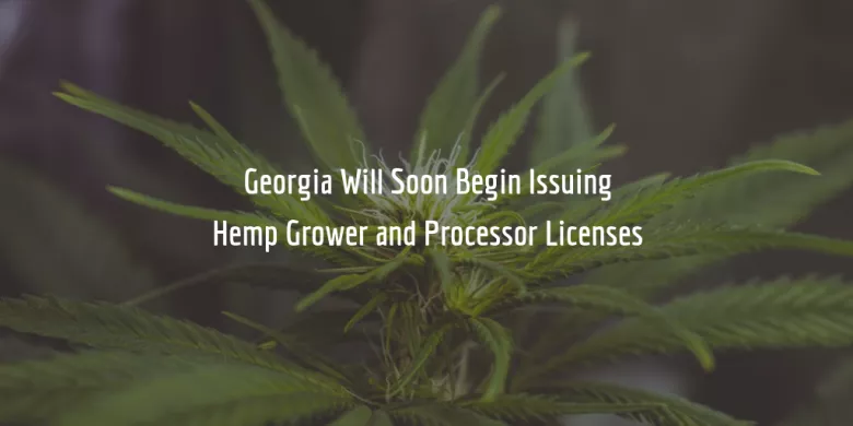 Georgia hemp processor license requirements